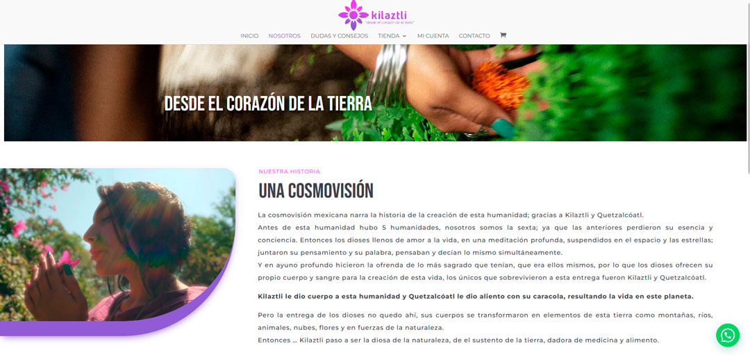 Beauty Products Online Store Design | instant wellness - Image 4